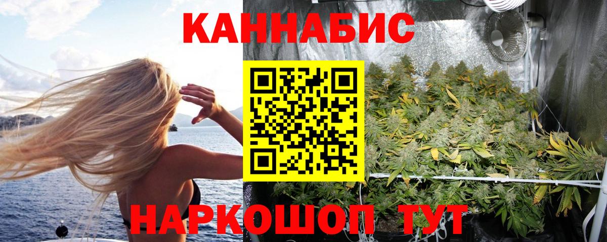 Бошки Шишки Amnesia  Вход с VPN  Канабис AK-47  Бошки марихуана планчик  Городец 